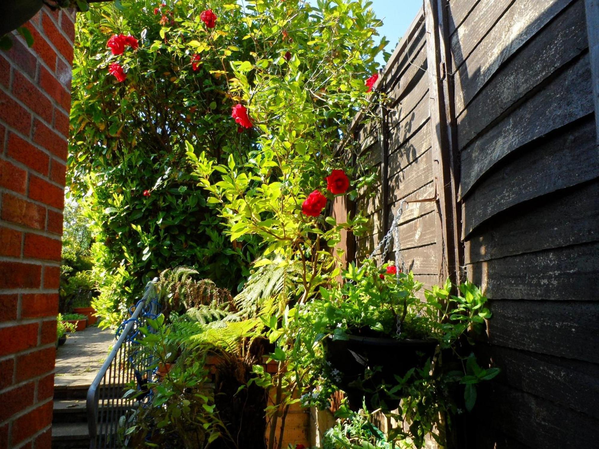 Galway Guest House Weymouth Kültér fotó